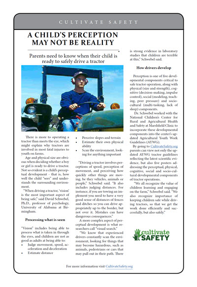 Click here to open the Child's Perception May Not be Reality prevention brief PDF in English.