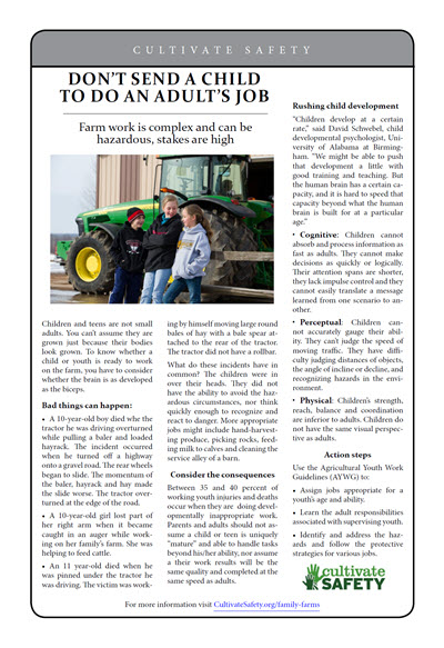 Click here to open the Don't Send a Child to do an Adult's Job prevention brief PDF in English.