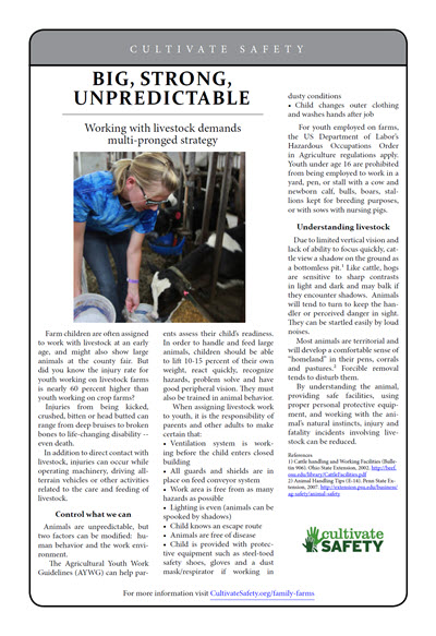 Click here to open the Big, Strong, Unpredictable (Animal) prevention brief pdf in English.