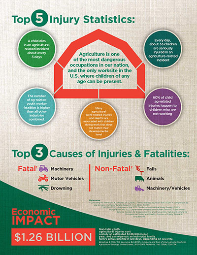 Click here to open the Child Incidents – Statistics and Causes PDF in English.
