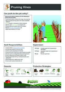 AYWG: Pruning Vines