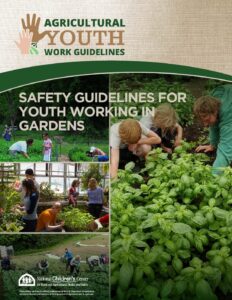 Safety Guidelines for Youth Working in Gardens