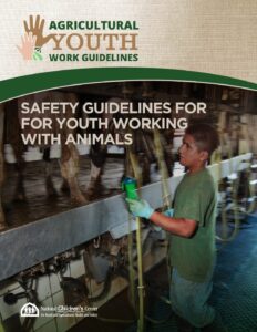 AYWG: Safety Guidelines for Youth Working with Animals