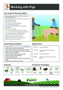 AYWG: Working with Pigs