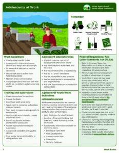 AYWG: Adolescents at Work