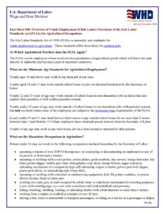 Fact Sheet #40: Federal Youth Employment Laws in Farm Jobs